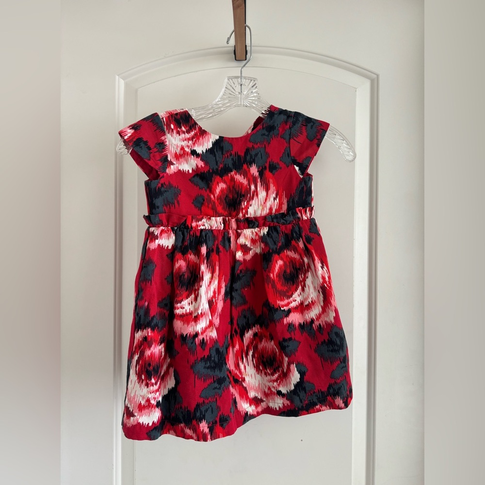 Baby Gap Rosette Dress